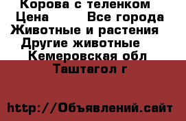Корова с теленком › Цена ­ 69 - Все города Животные и растения » Другие животные   . Кемеровская обл.,Таштагол г.
